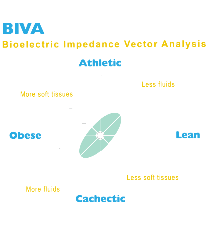 MBF6010 Body Composition Analyzer, Bioelectrical Impedance Analysis