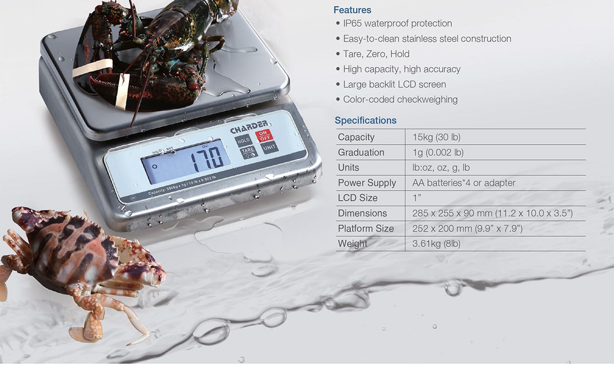 Digital Waterproof Portion Scale R240